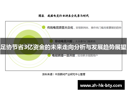 足协节省3亿资金的未来走向分析与发展趋势展望 足协节省3亿资金的未来走向分析与发展趋势展望